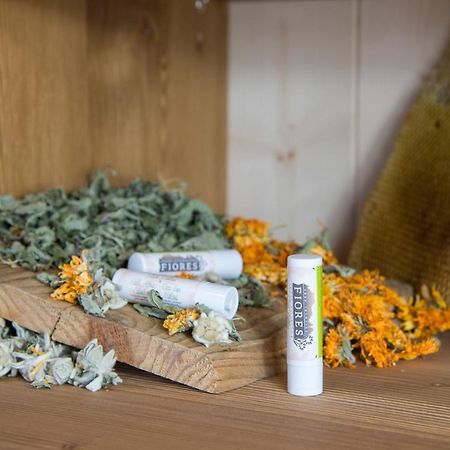 Eco-Green Fiores Agriturismo 维哥迪法萨 外观 照片
