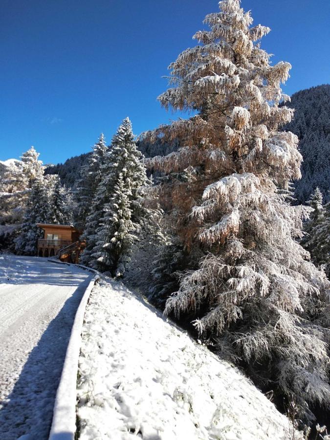Eco-Green Fiores Agriturismo 维哥迪法萨 外观 照片