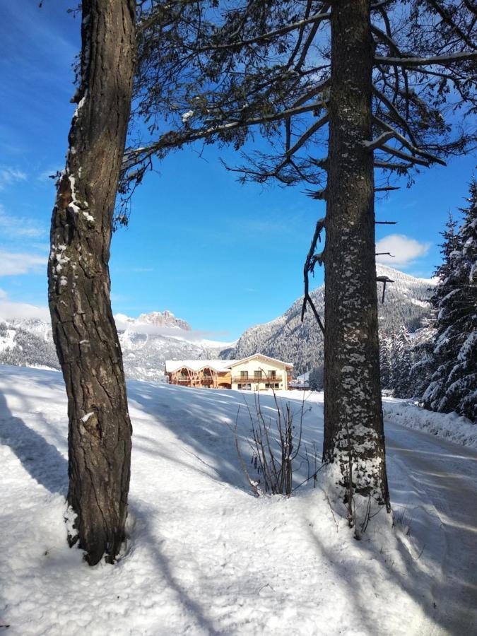 Eco-Green Fiores Agriturismo 维哥迪法萨 外观 照片