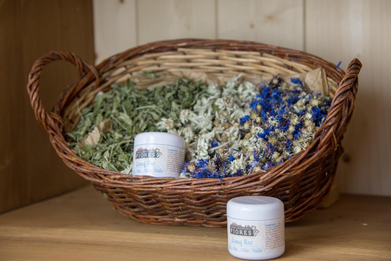 Eco-Green Fiores Agriturismo 维哥迪法萨 外观 照片